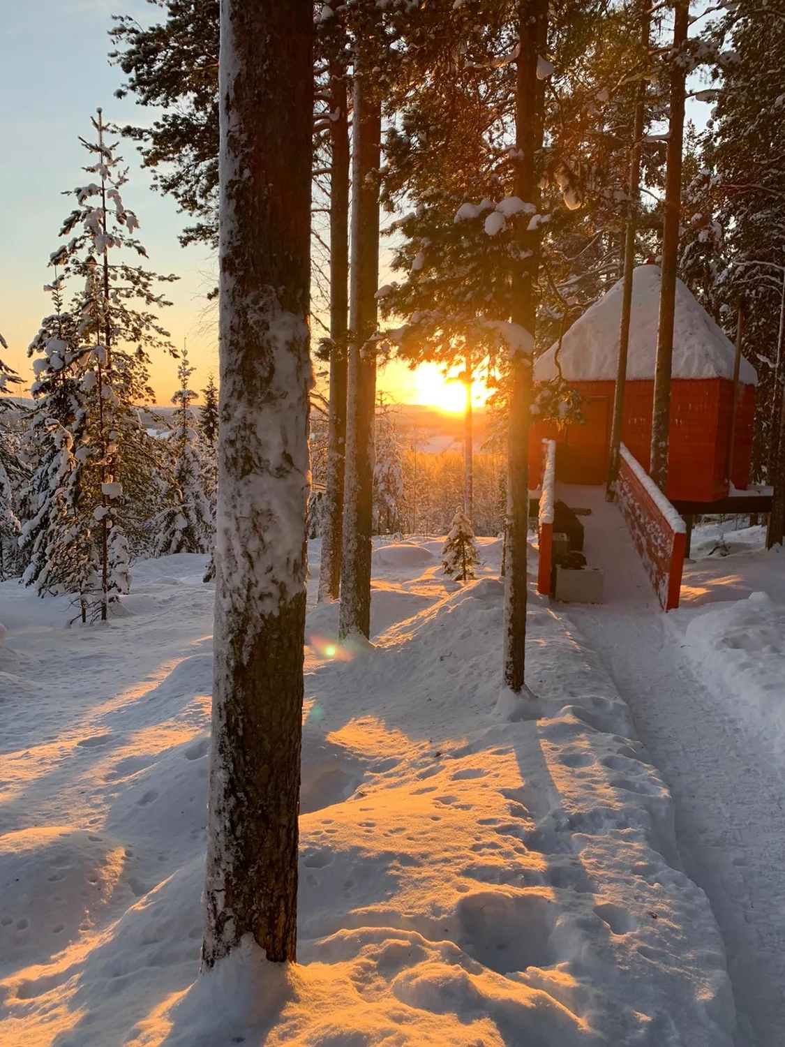 Mokurai – Weg der Geistesschulung – verschneiter, stiller Winterwald