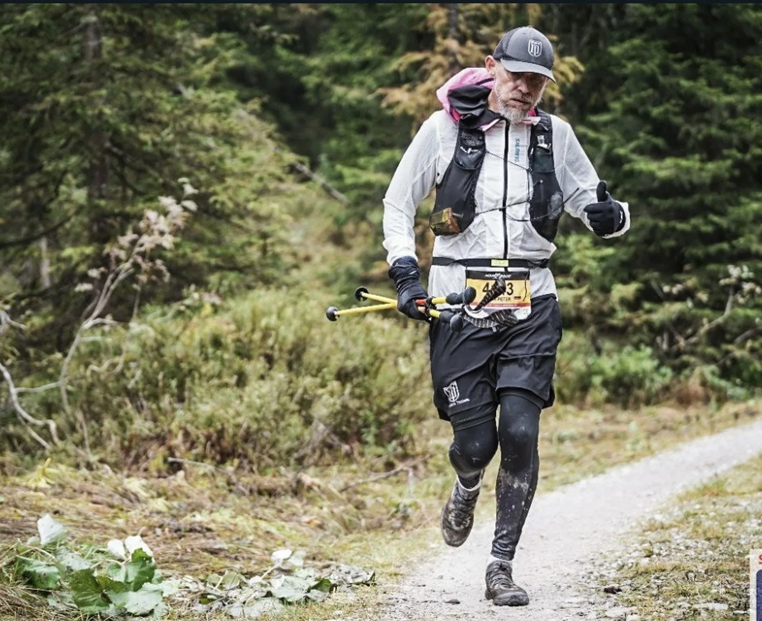 Mokurai – Weg der Geistesschulung – Wanderweg durch den stillen Wald