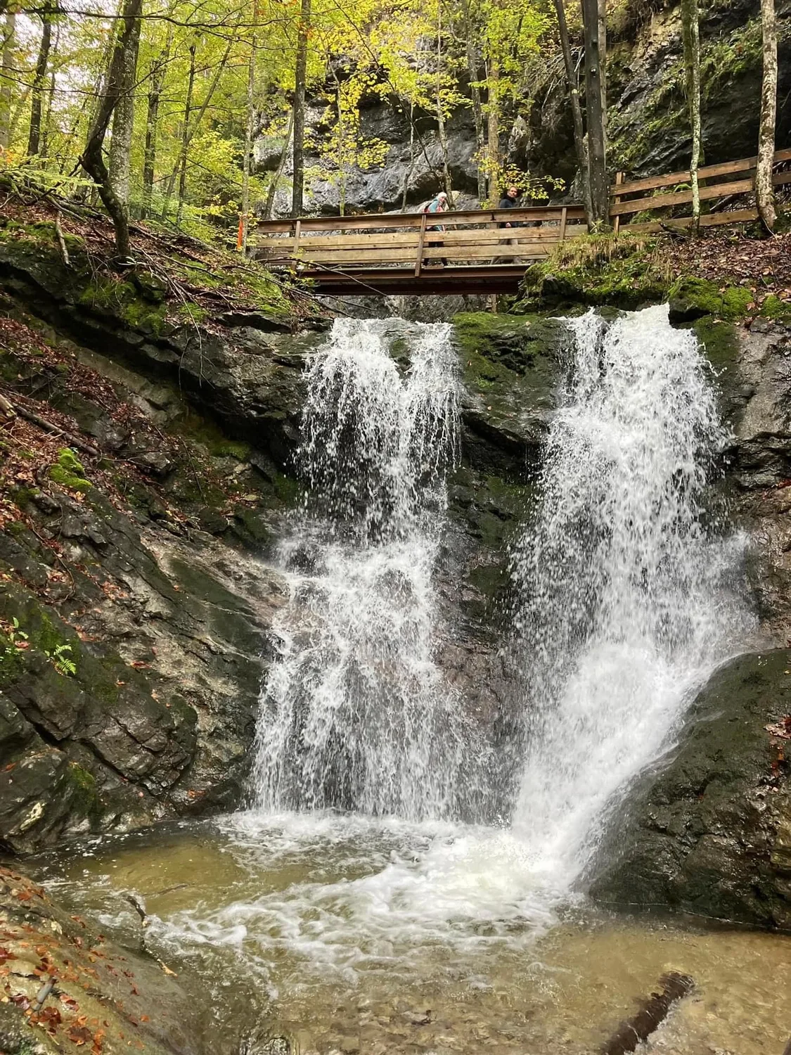 Mokurai – Weg der Geistesschulung – Wasserfall im Wald