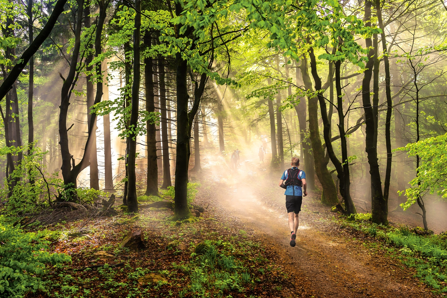 Mokurai - Akademie für Resilienz und Gewaltprävention - Jogger im Wald